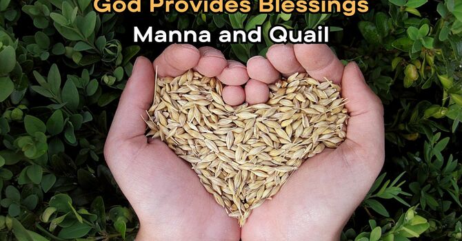 Manna & Quail