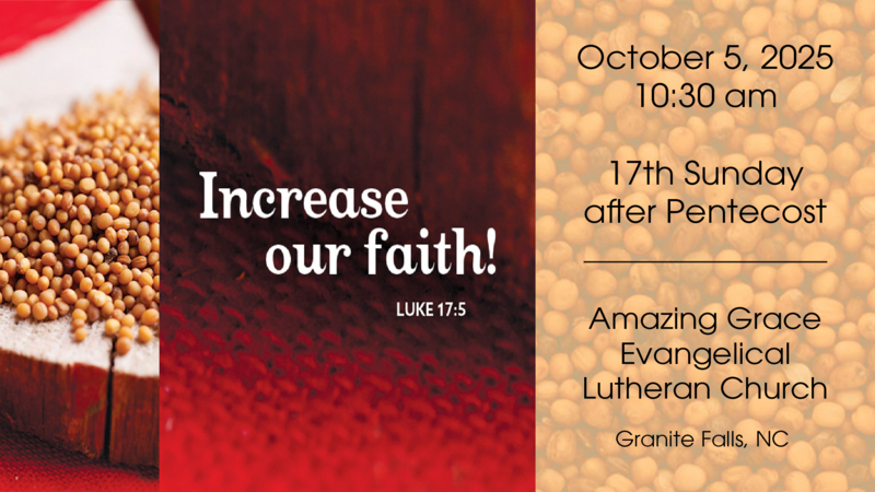 17th Sunday after Pentecost