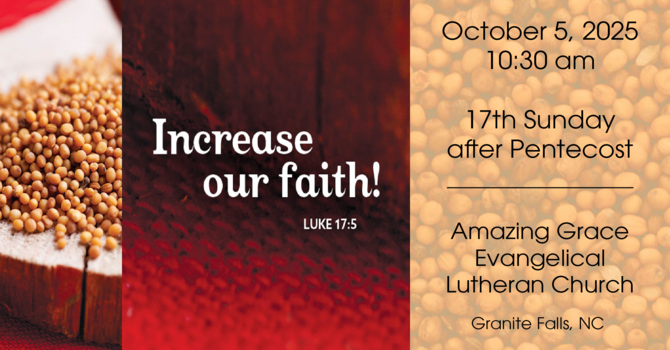 17th Sunday after Pentecost