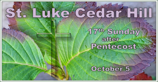 A Video of Sunday's 10 am Service is Now Available image