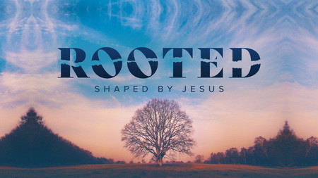 Who We Are: Shaped by Jesus