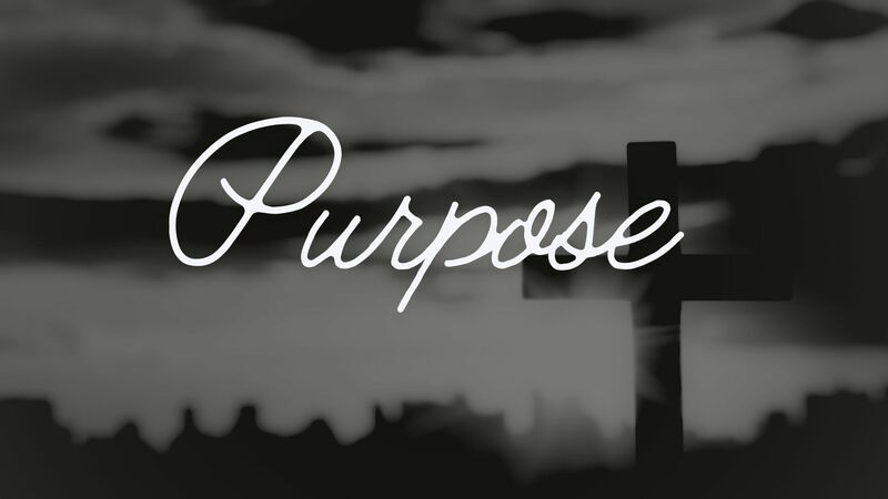 Purpose