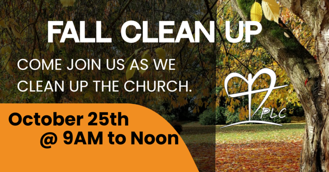 Fall Clean Up