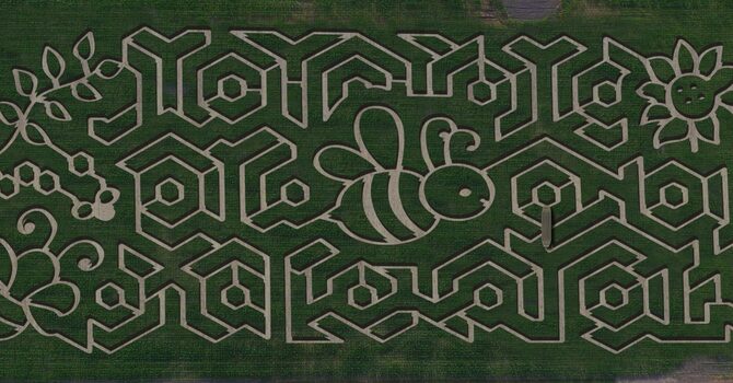 Youth Group Corn Maze Outing