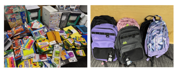 Summer Theme: Health & Education