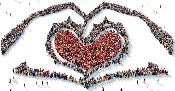 The Shepherd’s Heart of Compassion image