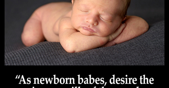 Prayer Letter  image