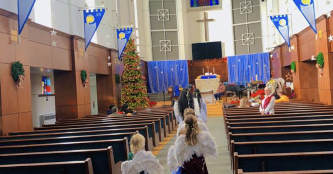 Spruce up the Sanctuary