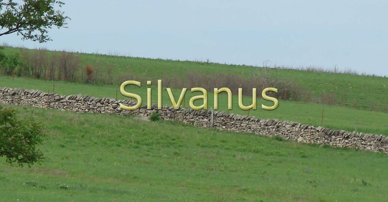 Silvanus
