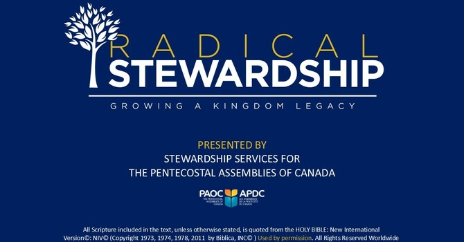 Stewardship