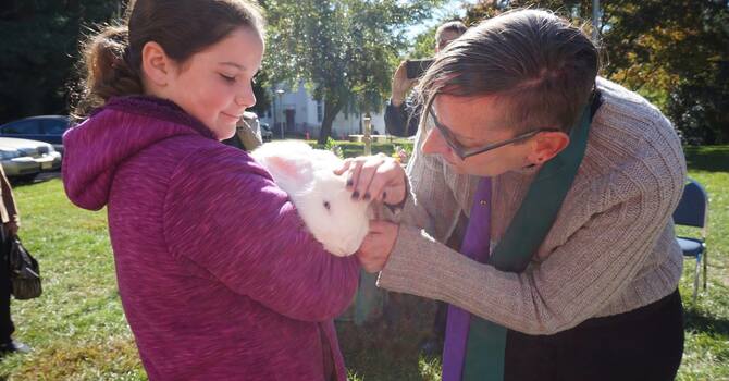 Blessing of the Animals