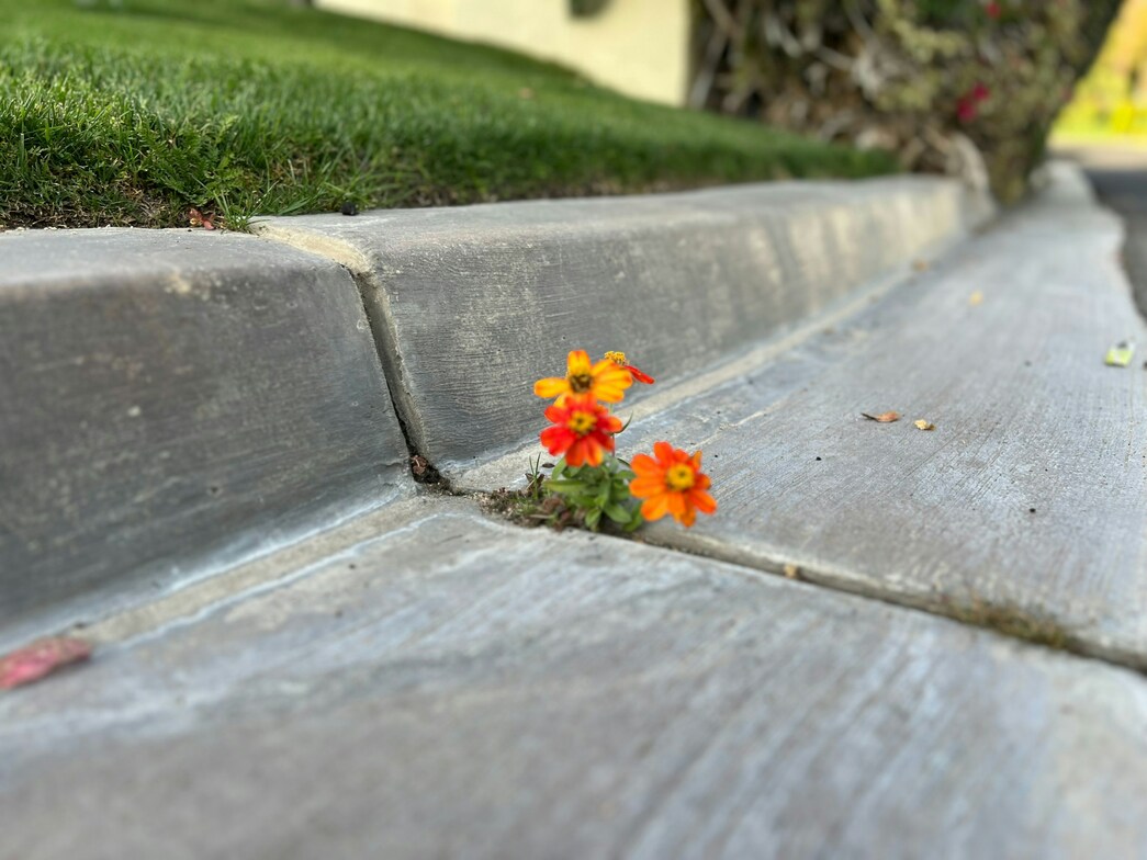 Slideshow image