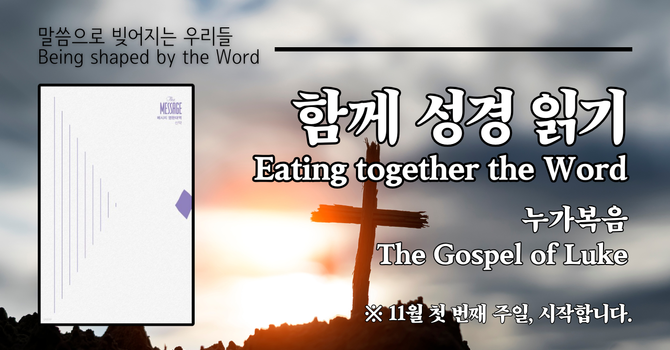 Sunday Bible Reading 