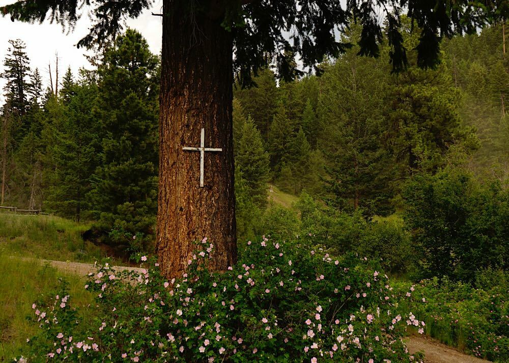 Slideshow image