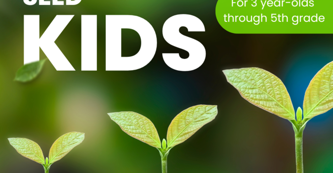 Mustard Seed Kids