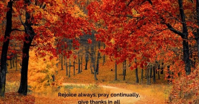 OUC Fall Newsletter image