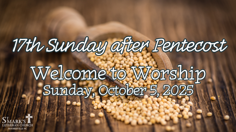 Sunday Worship