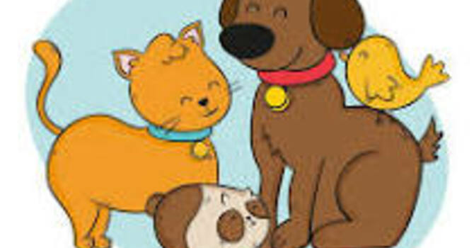 Blessing of the Animals