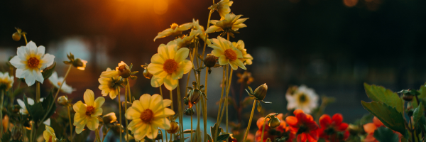 A Call to Freedom, Love, and Courage