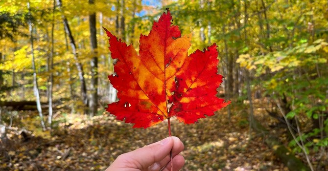 Thanksgiving Sunday - October 12, 2025