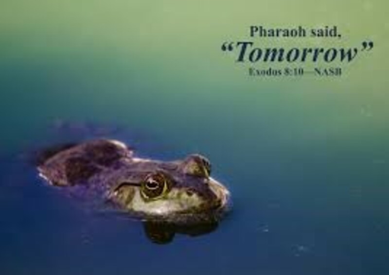 Not Today but Tomorrow