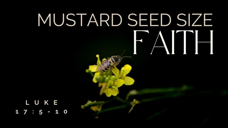 Mustard Seed Size Faith