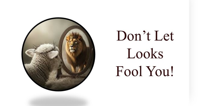  10-5-25 Don't Let Looks Fool You! Sermon