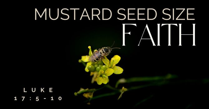 Mustard Seed Size Faith