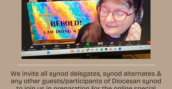 Diocesan Synod Preparation for Delegates