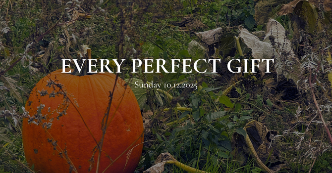 Every Perfect Gift image