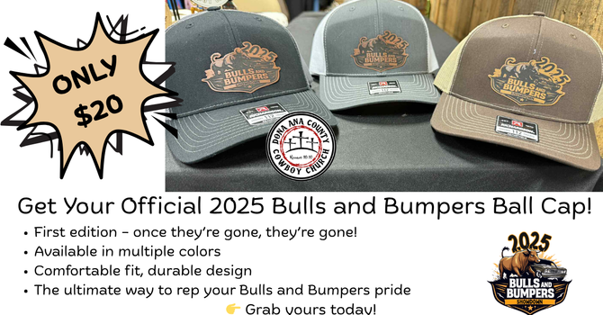Official 2025 Bulls and Bumpers Ball Cap! image