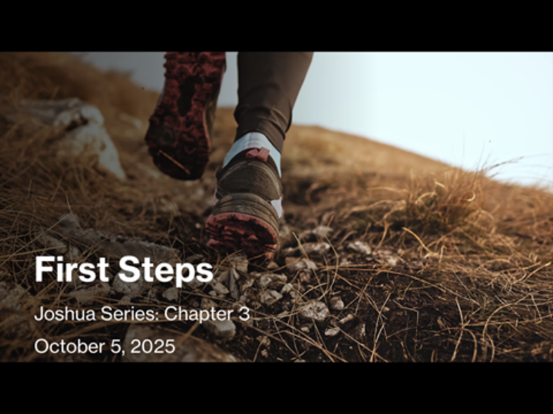 First steps