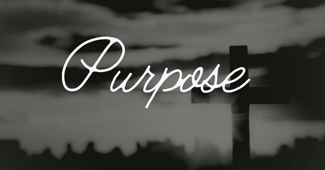 Purpose
