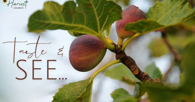 Taste and See - A Taste of Truth From Romans 12