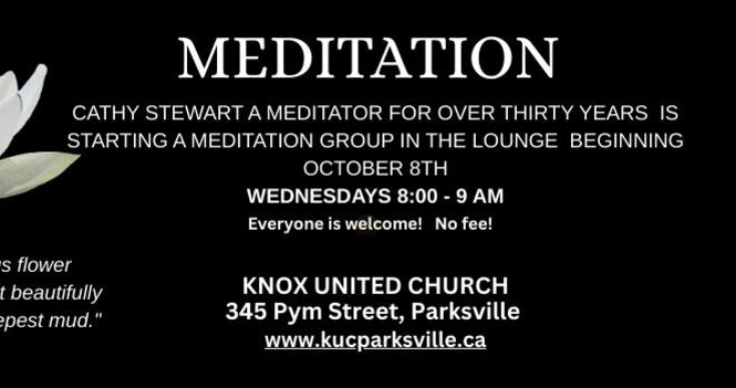 Meditation Group (L)