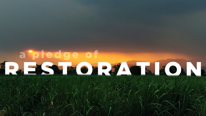 A Pledge of Restoration 