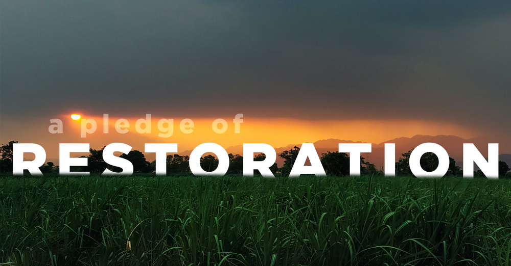 A Pledge of Restoration 