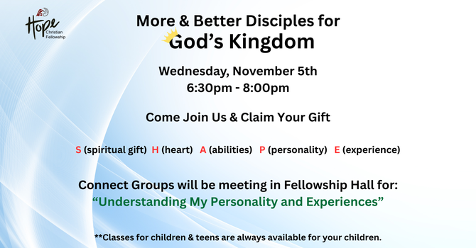 Connect Groups Bible Study