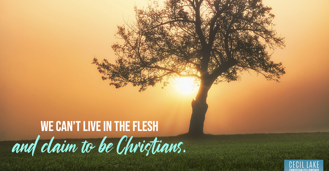 “REBELLION” image