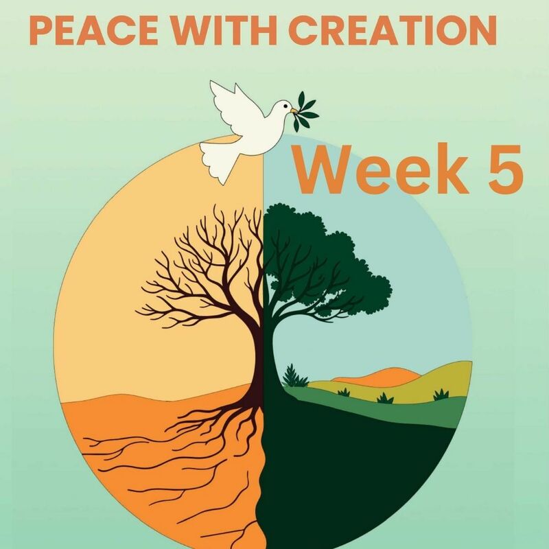 Sermon for Oct. 5, 2025