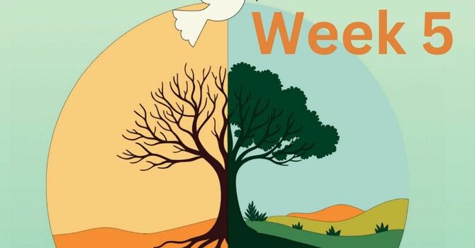 Sermon for Oct. 5, 2025