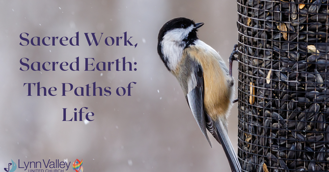 Sacred Earth, Sacred Work