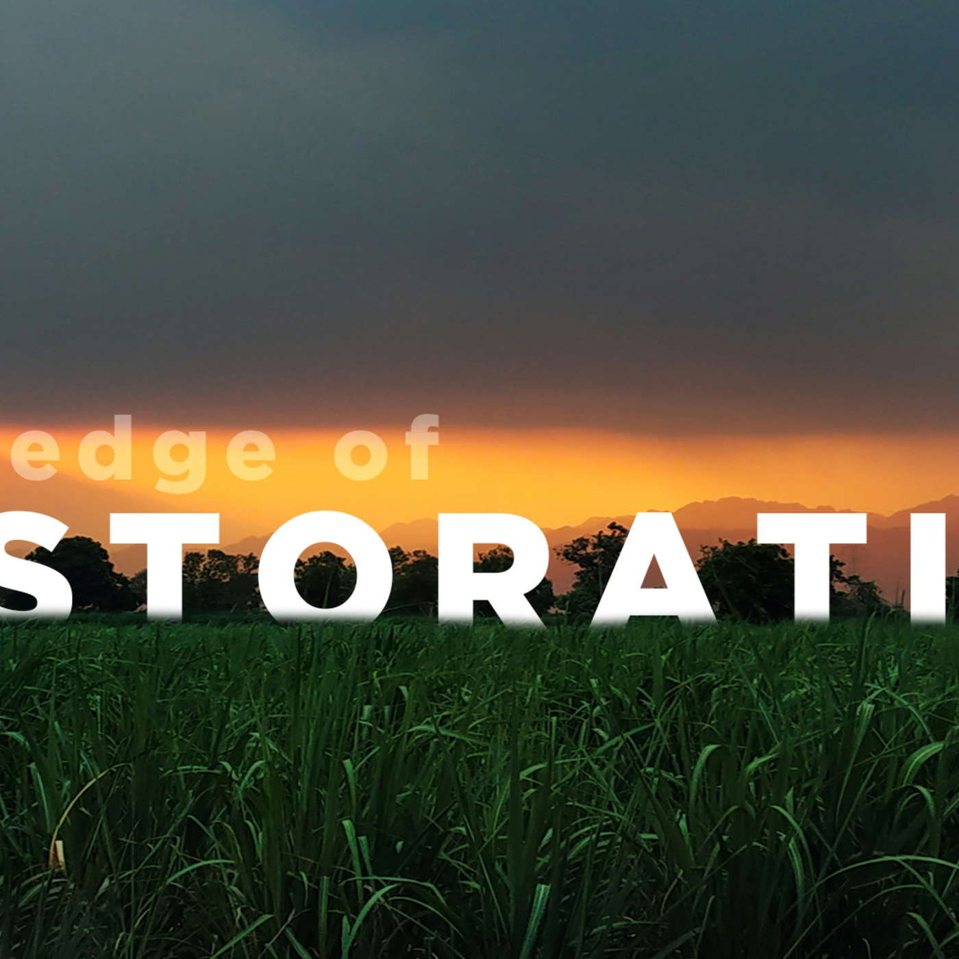 A Pledge of Restoration