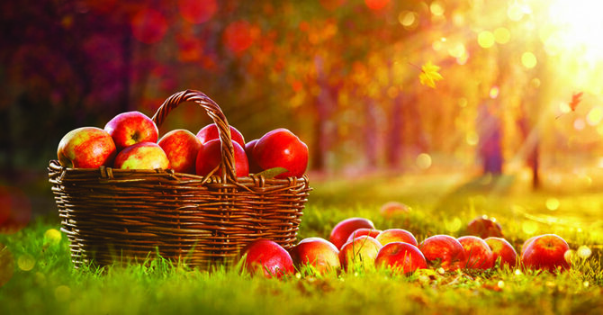 “Thanksgiving (Harvest) Sunday” image
