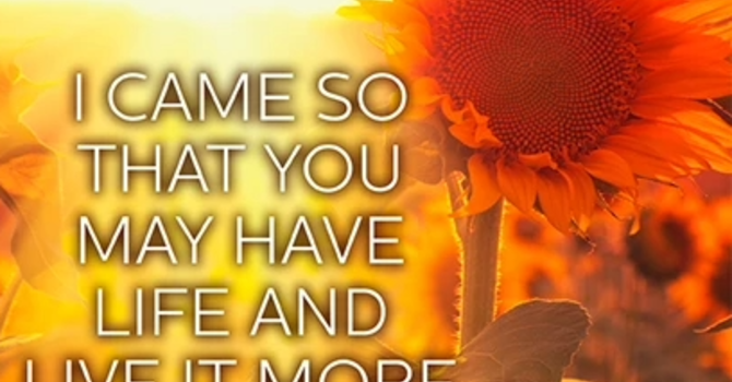 10/12/2025 PGR Bulletin image