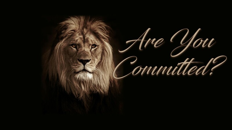 Are You Committed?