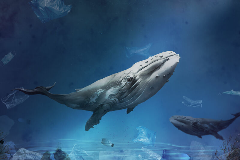 Jonah Versus God