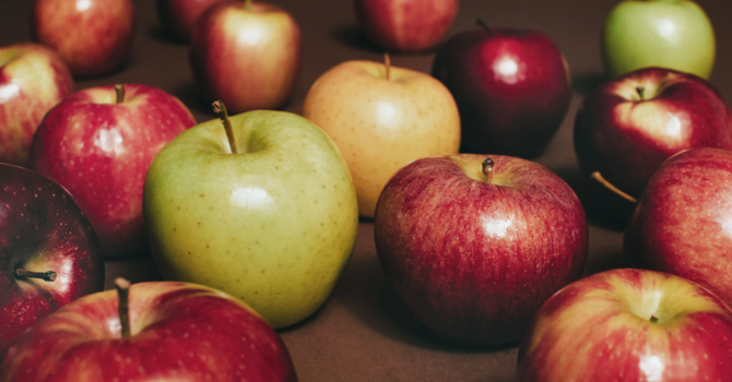 Senior Adult Lunch & Apple Pickin'