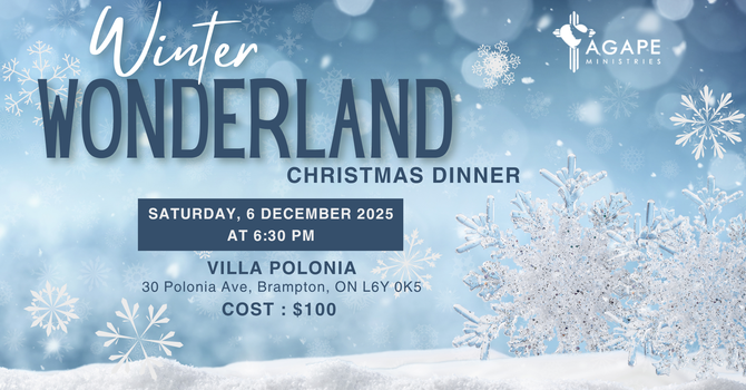 Winter Wonderland Christmas Dinner
