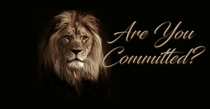 Are You Committed?